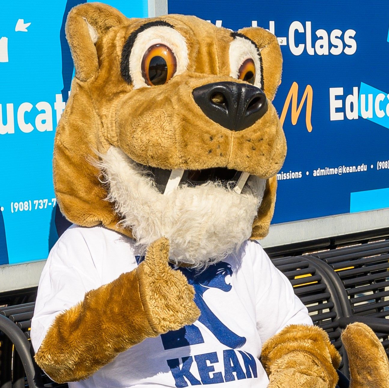 An Interview with Keanu the Cougar 